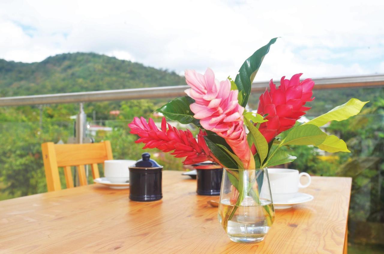 Alec'S Motel Alamagoto Ngoại thất bức ảnh